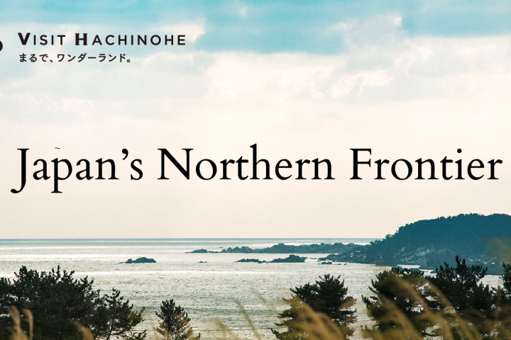 蕪島海水浴場